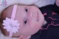 /album/portfolio-van-art-of-bella-s/logoimg-2146-jpg/